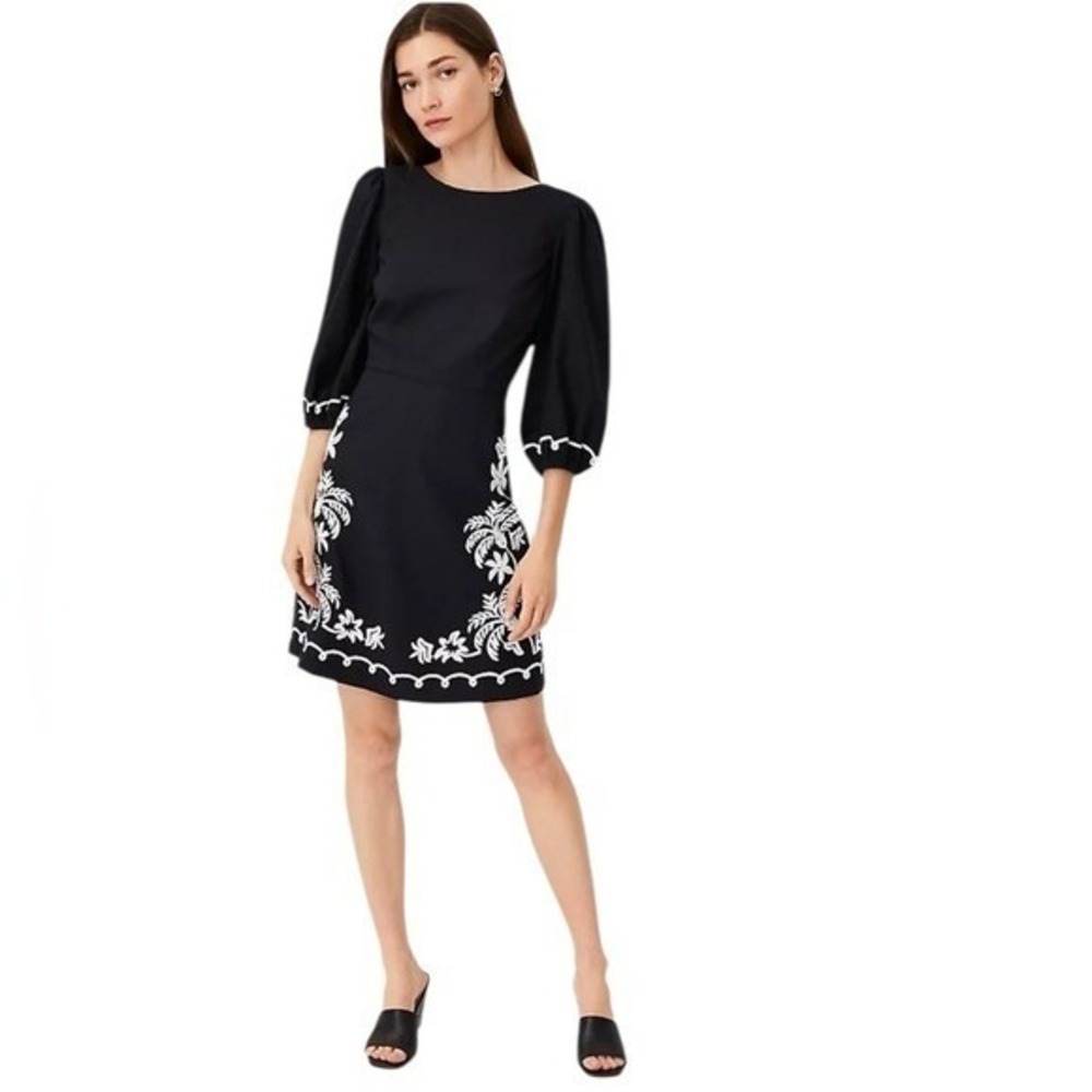 Ann Taylor Black Mini Dress with White Embroidered Trim - Picture 3 of 15